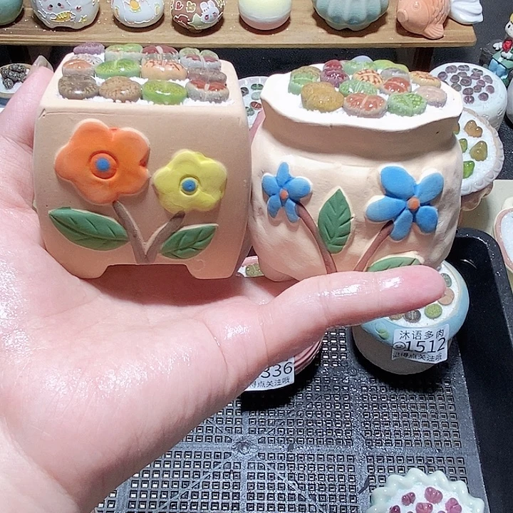 精美盆栽 一物一拍1589