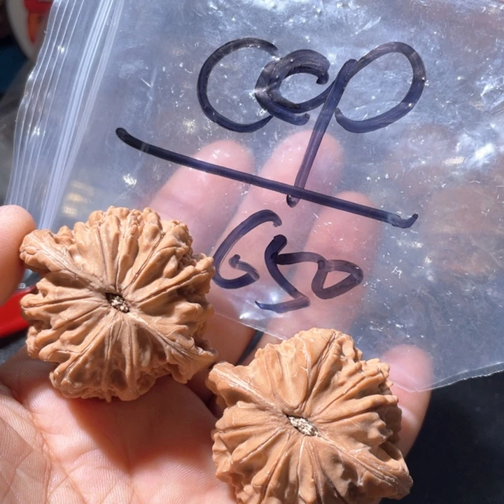 C*p45尺寸磨盘狮子头