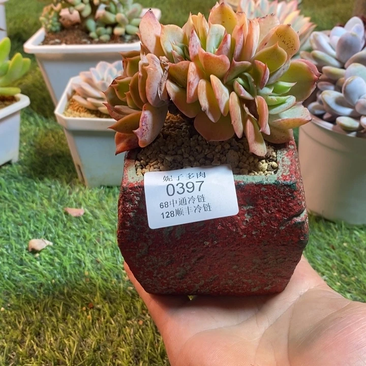 0397啊啊啊啊啊啊啊啊啊啊啊啊
