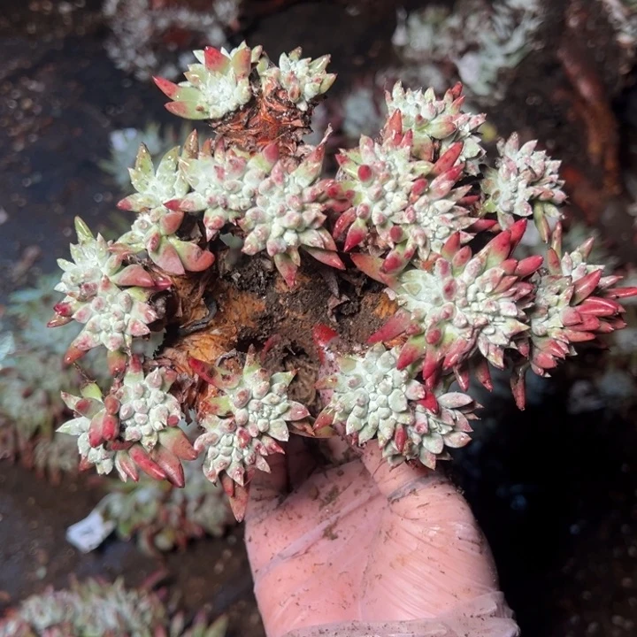 225哈哈哈哈哈哈哈哈哈