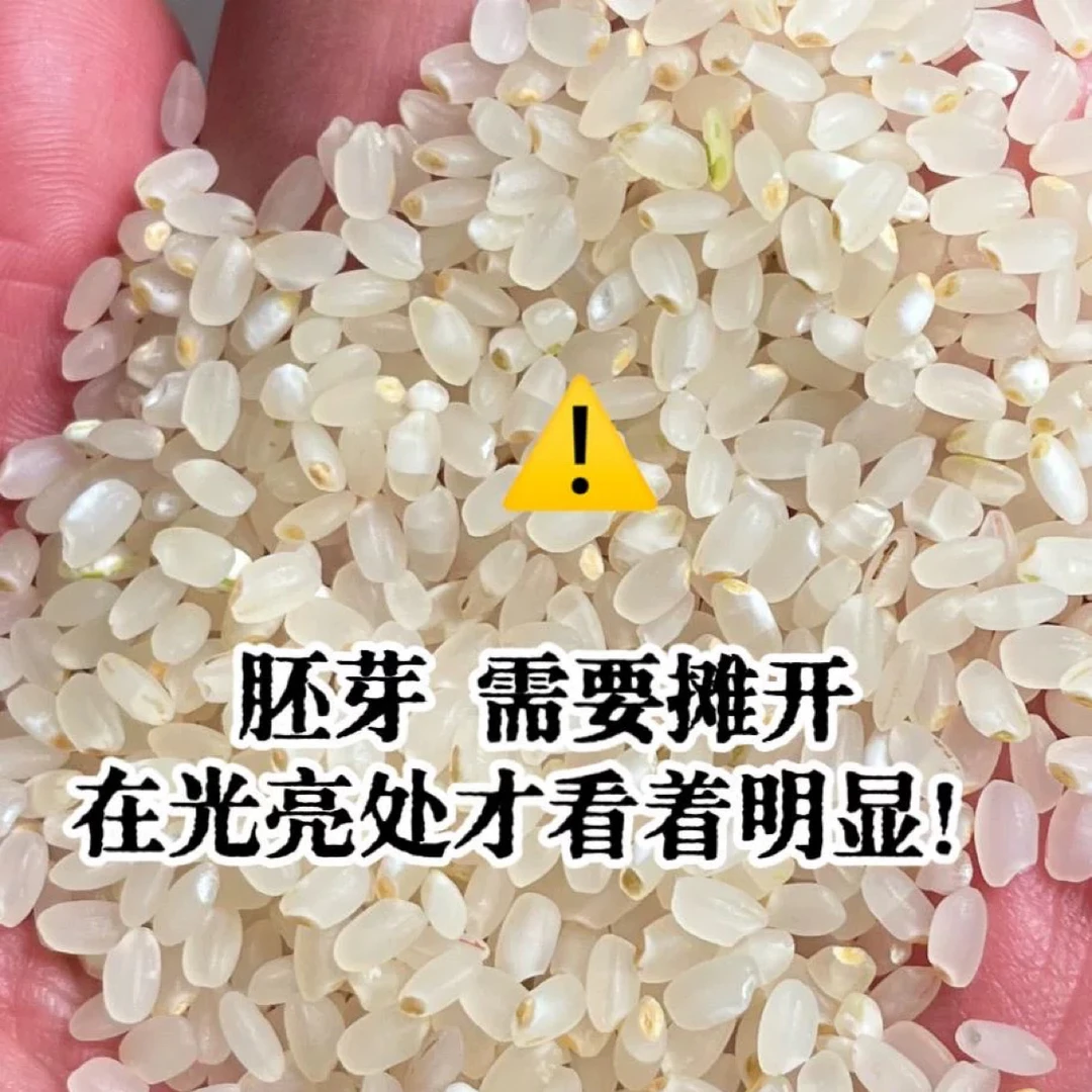 【新人支持试吃5斤】蟹田胚芽米正宗东北粳米不抛光现磨新米养脾胃
