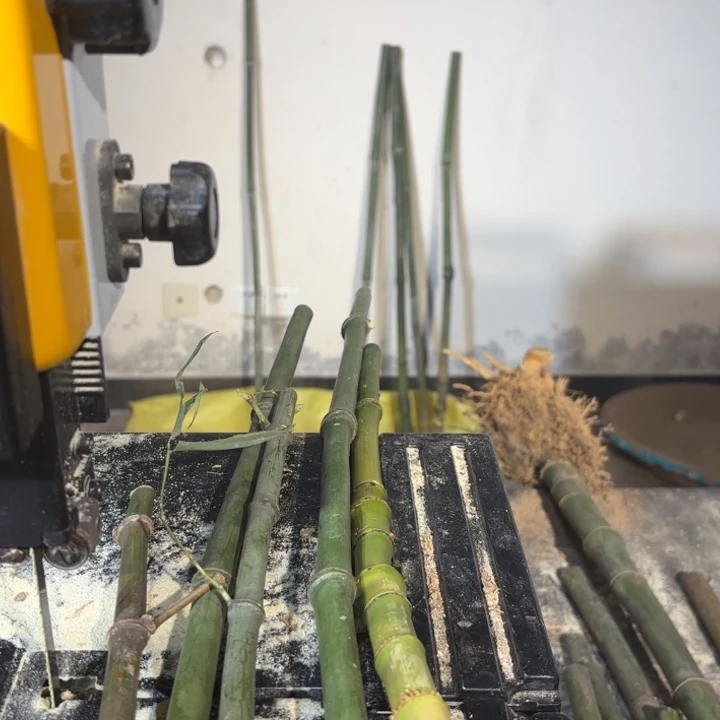 竹眺**空实心竹竹竹竹竹竹竹竹竹