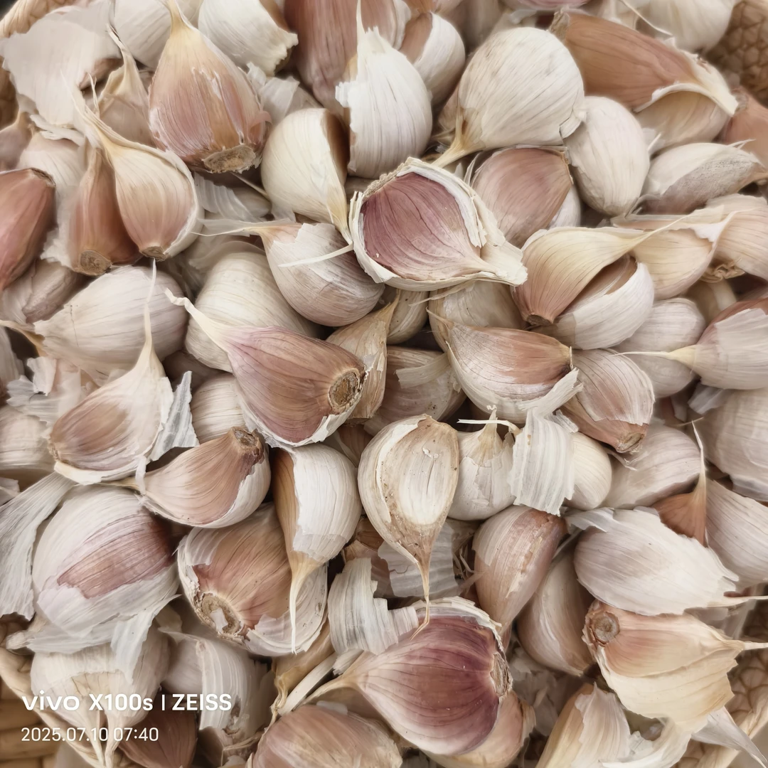 正宗山东老品种苍山四六瓣大蒜大蒜瓣