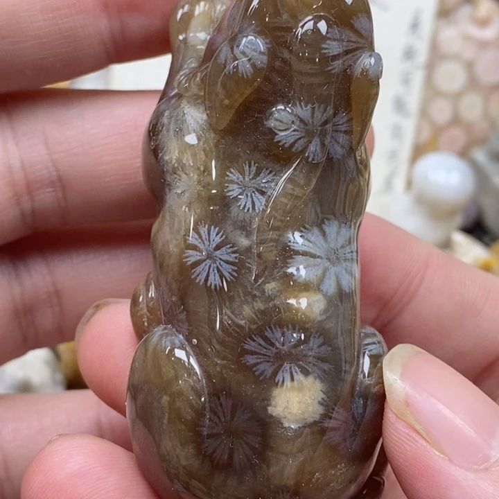 颈饰未镶嵌硅化珊瑚（珊瑚玉）