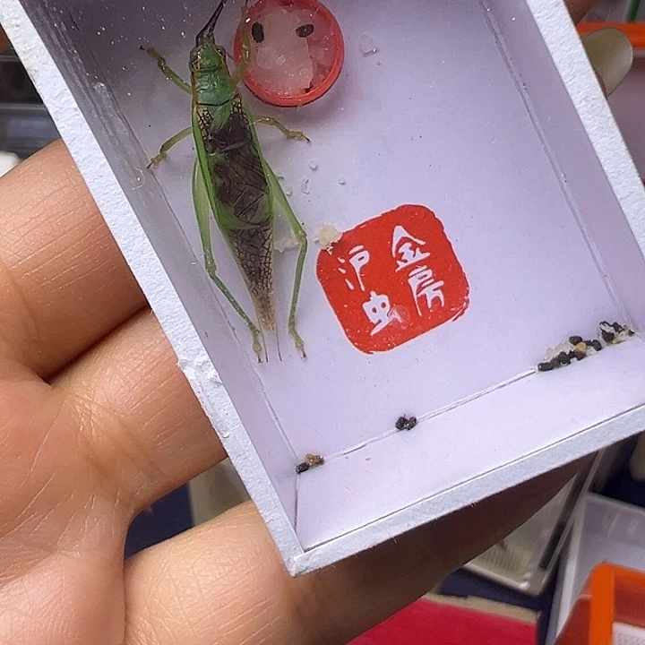 D***n哈哈哈哈哈哈哈哈哈哈哈哈