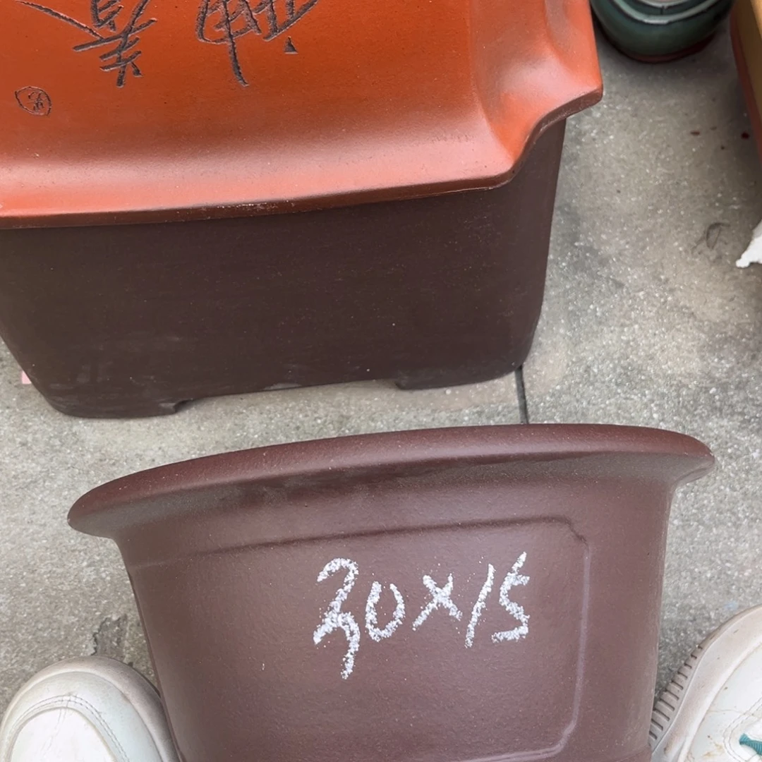 花盆紫砂盆景艺术