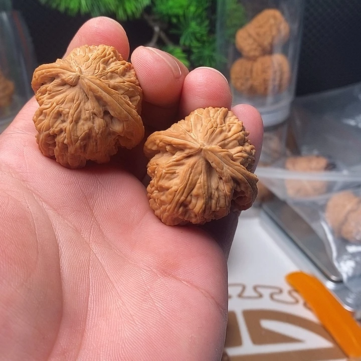 吊坠文玩核桃白狮子