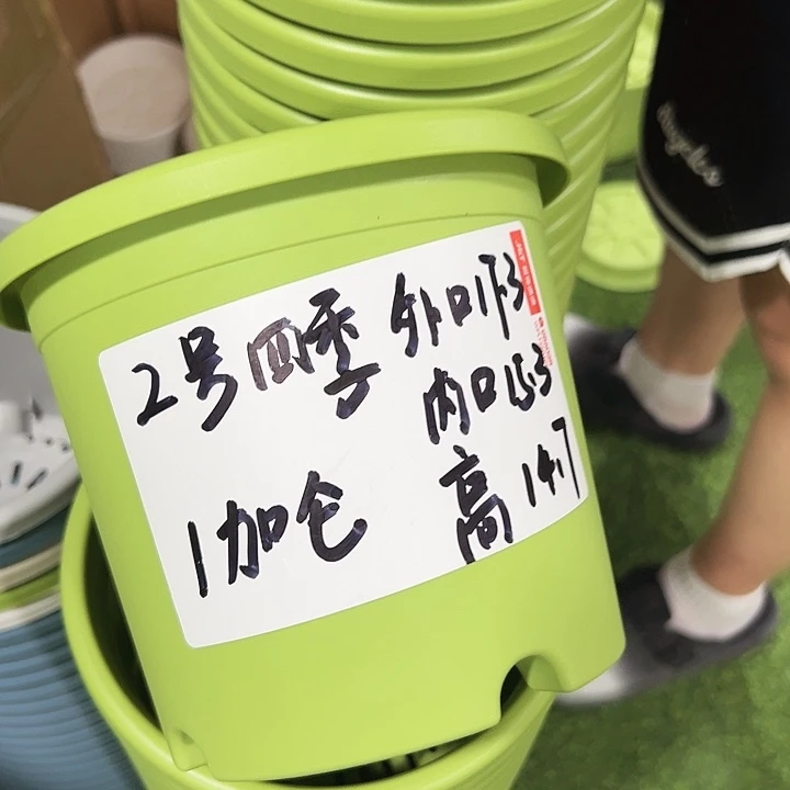 特价2号口17.3高14.7米色带托10只