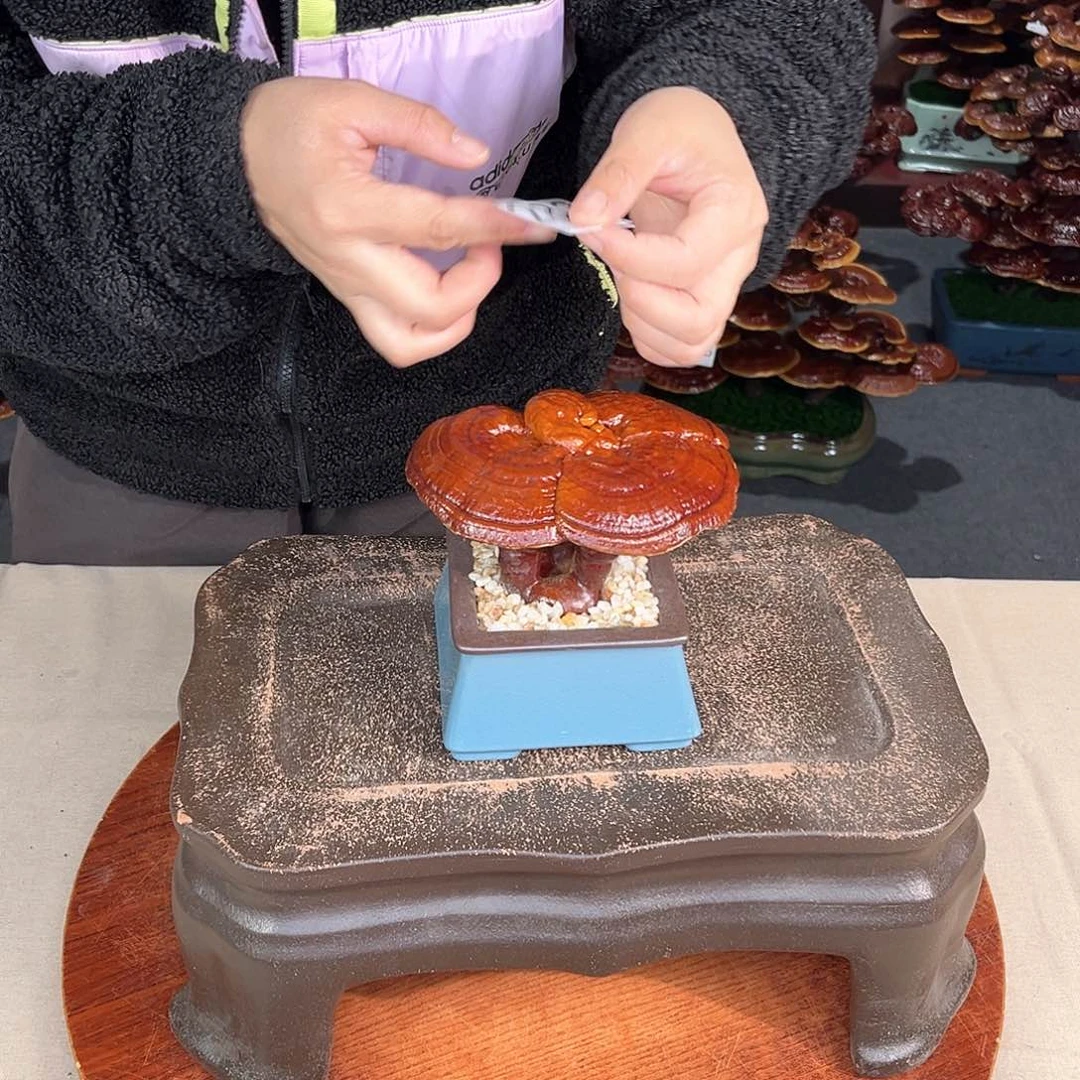 万事如意88888283