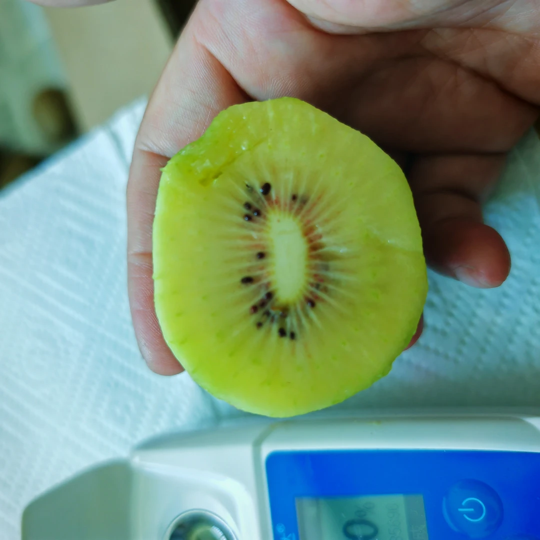 自家果园生态种植人工除草自制有机肥自然成熟红心猕猴桃顺丰包邮