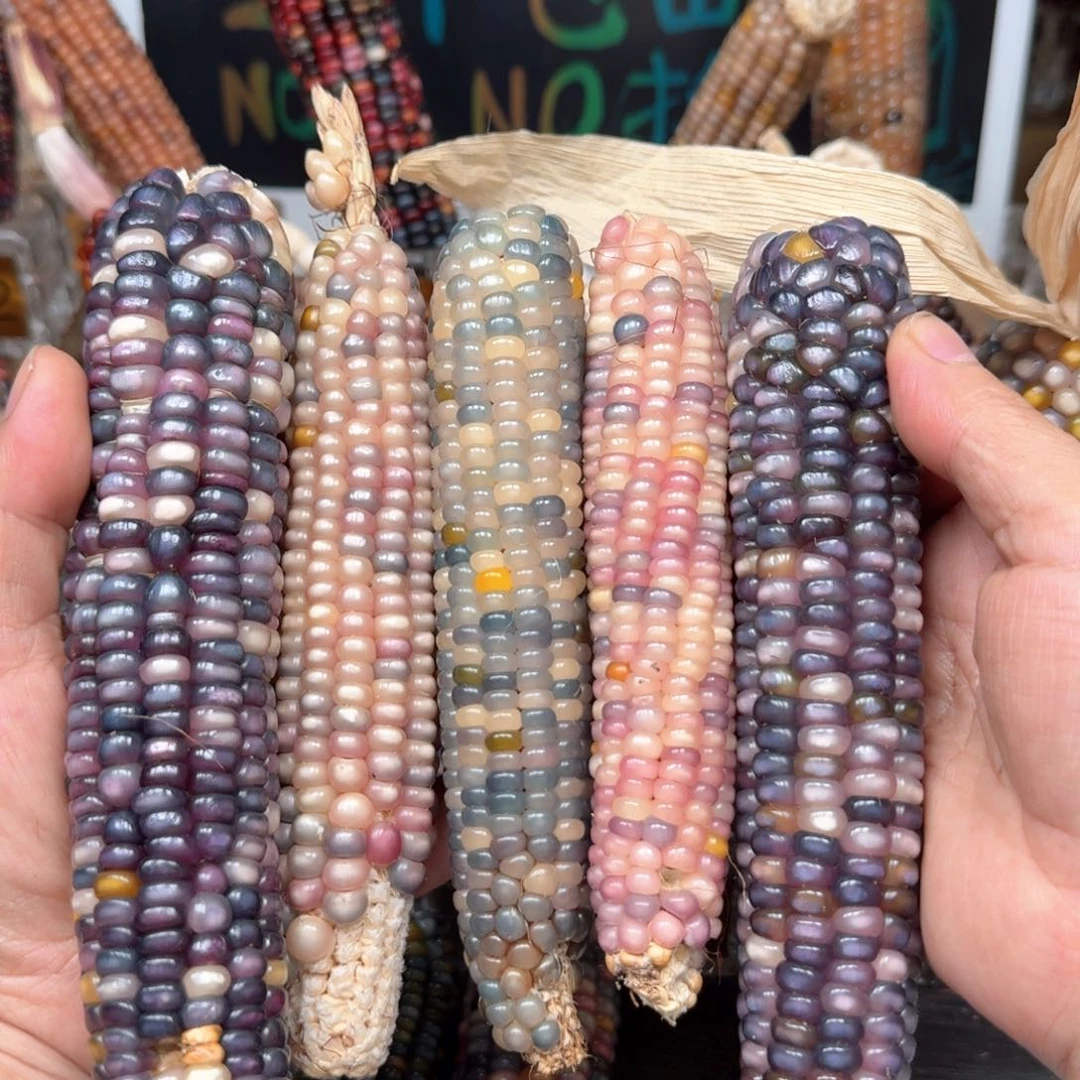 柏香籽/百香籽吊坠星****r