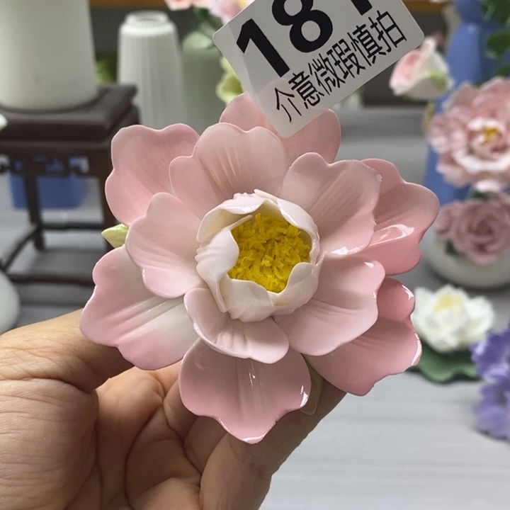 陶瓷陶瓷材料加工