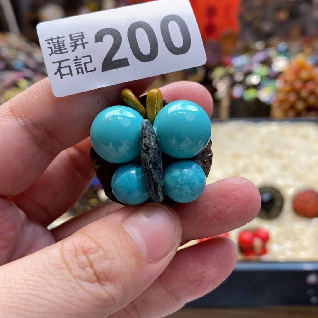 核桃木/黑胡桃（胡桃木）仙*球200