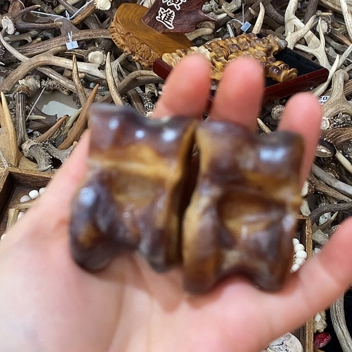 石英石非金属鹿骨鹿骨