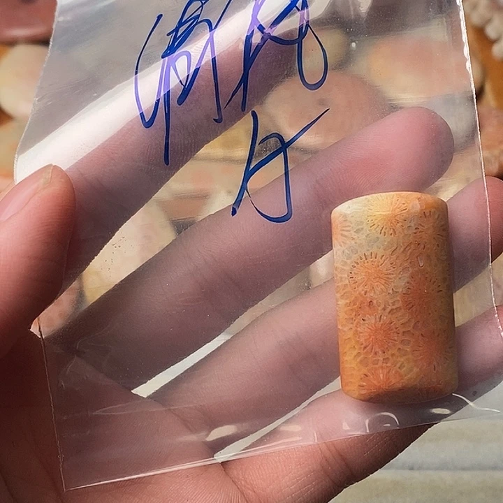 *****硅化玉未镶嵌颈饰