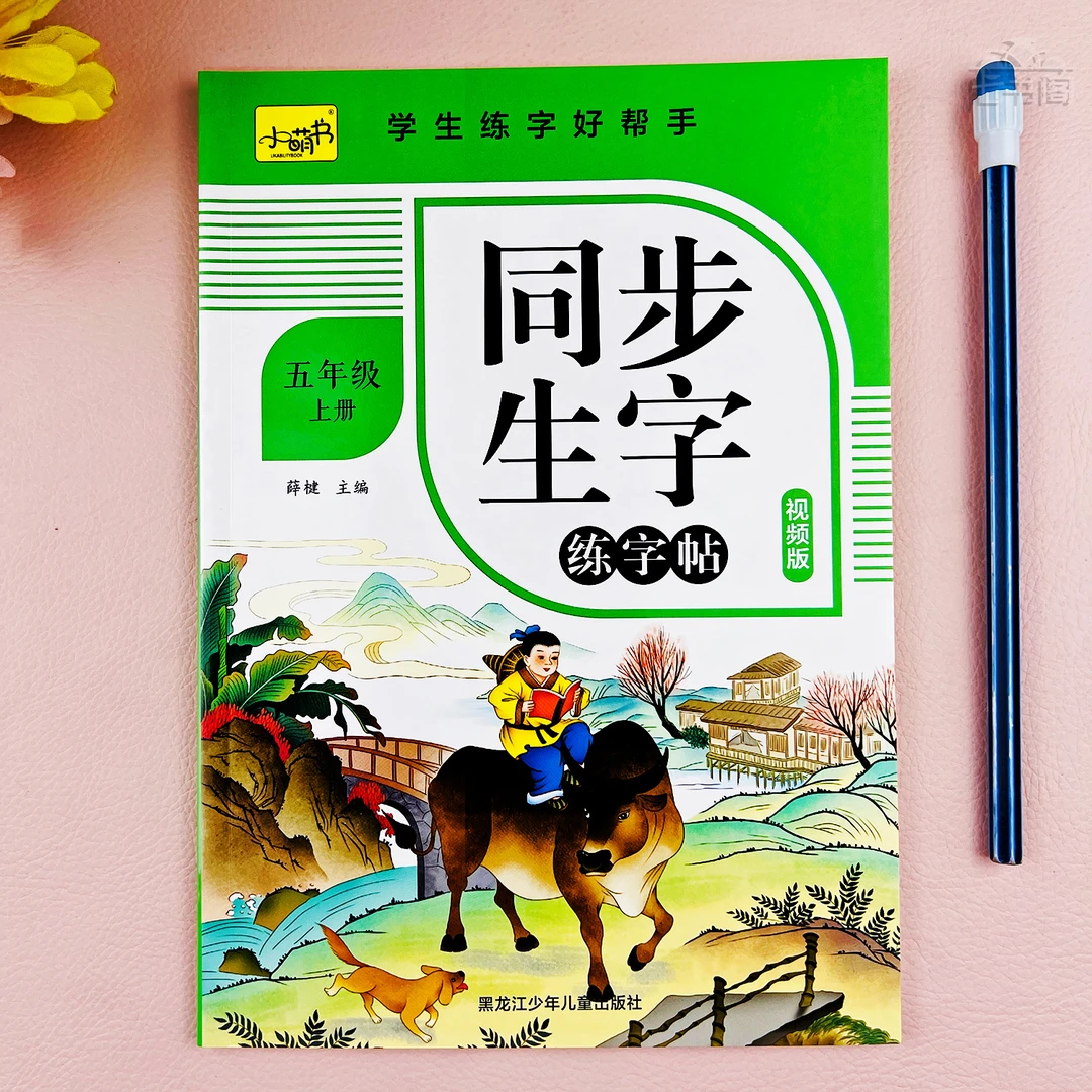 人教版五年级上册同步生字练字帖语文五年级上册练字帖写字课课练