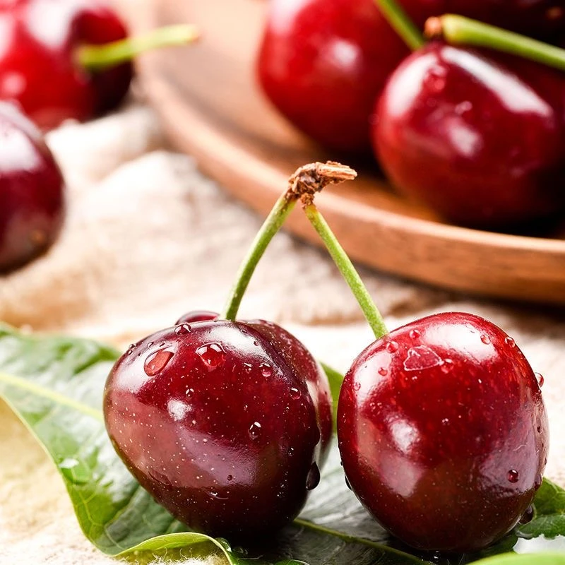 吉制 智利空运 桑缇娜车厘子 2JD 2斤分装/5斤原箱装 内附果径卡