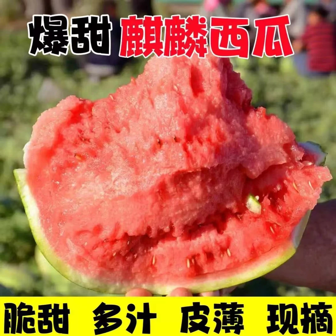 麒麟西瓜礼盒送礼顺丰包邮9-10斤