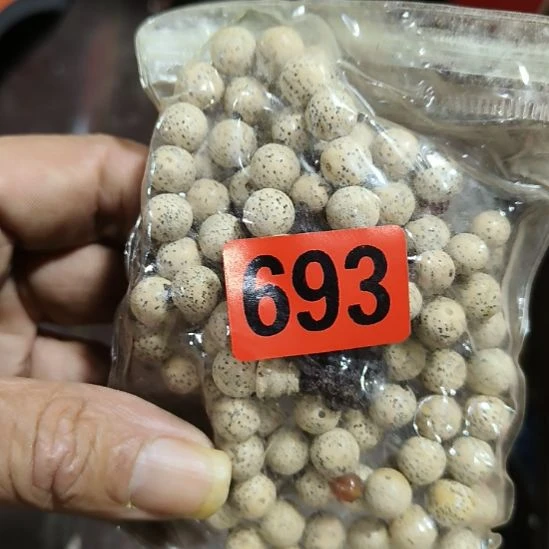 浪***乙民俗文化研究研究