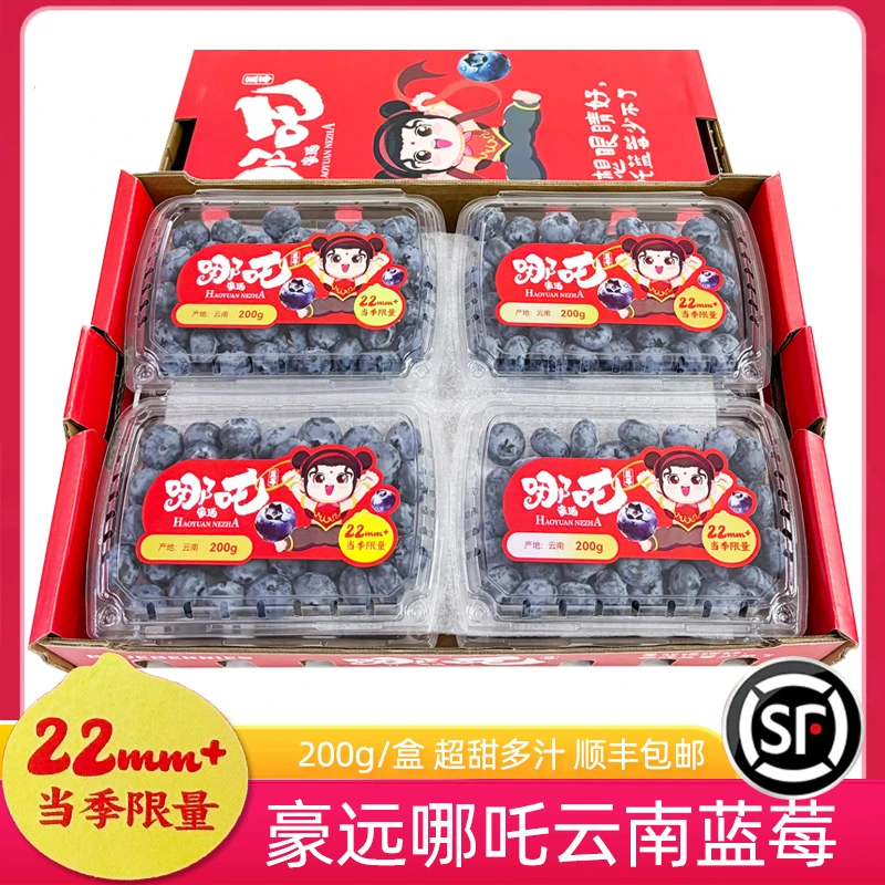 豪远哪吒云南山地蓝莓鲜果22+巨无霸 当季限量脆甜蓝莓水果顺丰