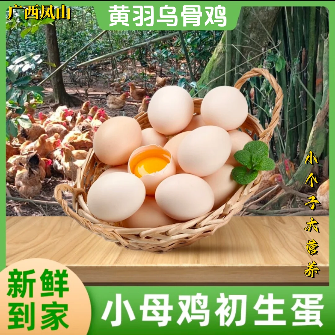 乌骨鸡头窝蛋、高山散养喝山泉水凤山长寿之源30颗