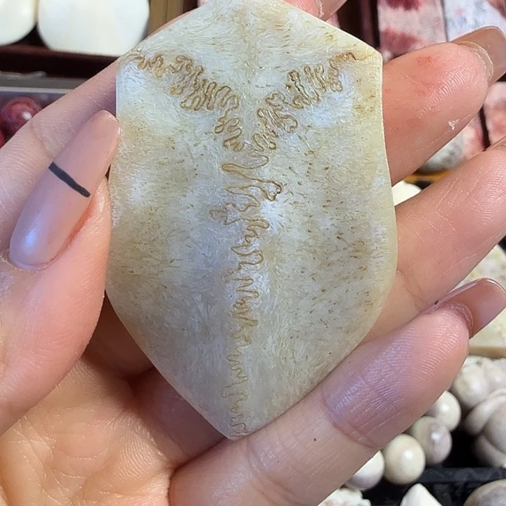 养殖鹿骨三界牌子