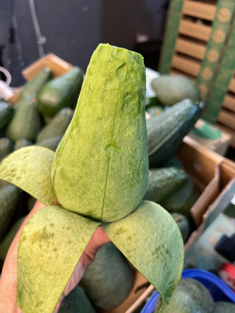 云南超级巨无霸牛油果非进口哈斯墨西哥新鲜应季水果孕妇宝宝辅食