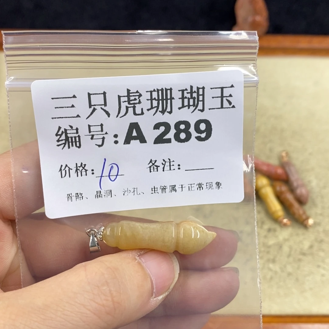 硅化珊瑚（珊瑚玉）1未镶嵌f****a