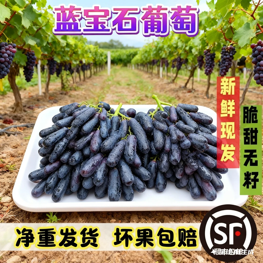 精品新鲜蓝宝石无核金手指提子美人指无籽水果大凉山无籽葡萄