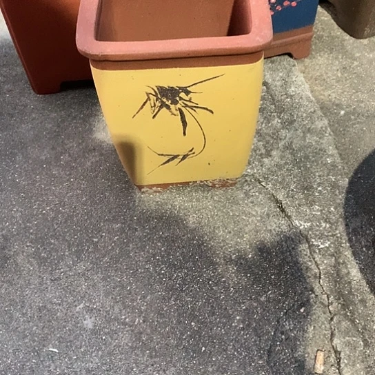 宜兴紫砂艺术博物