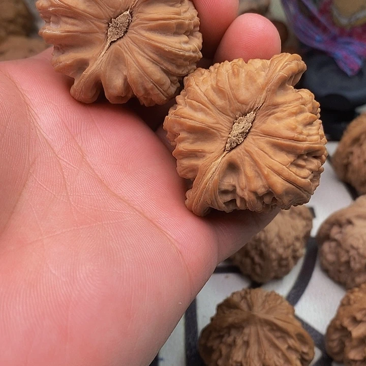 桃核把件翥白狮子头