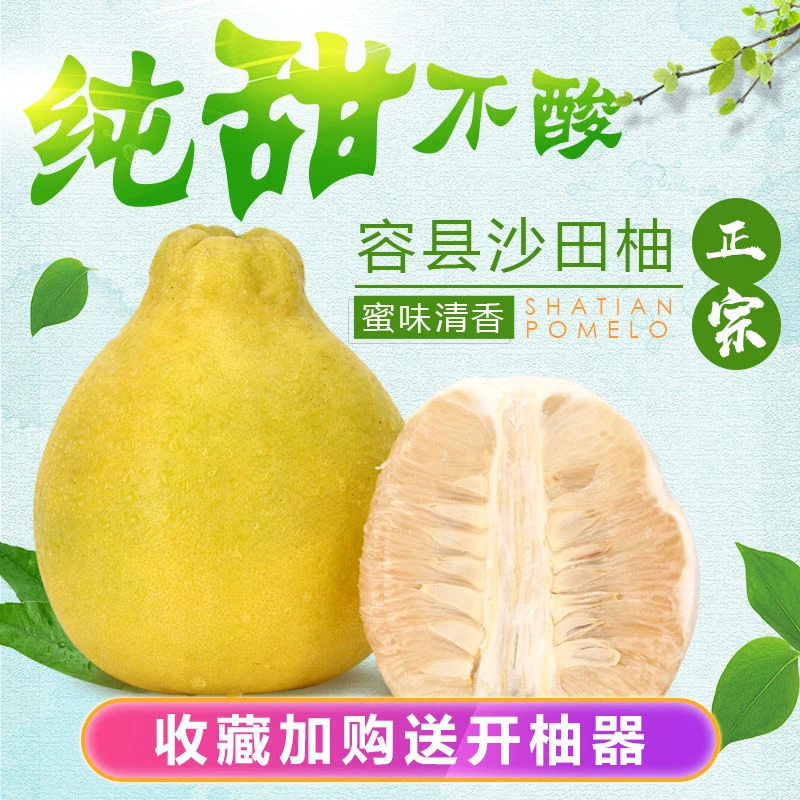正宗广西容县沙田柚子新鲜水果纯甜现摘50斤白心长寿柚金柚子包邮
