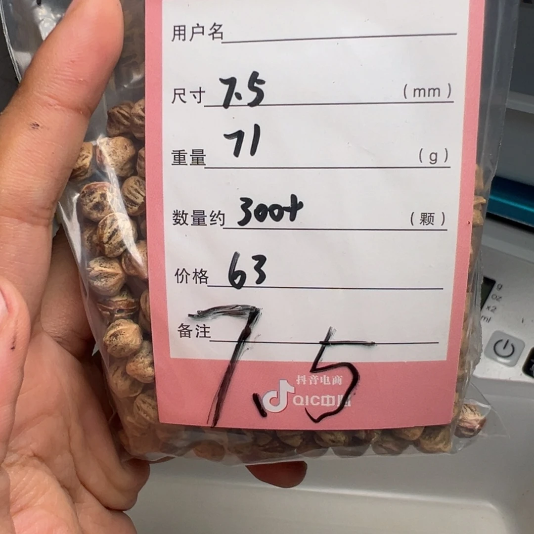 S***r柏香籽/百香籽吊坠