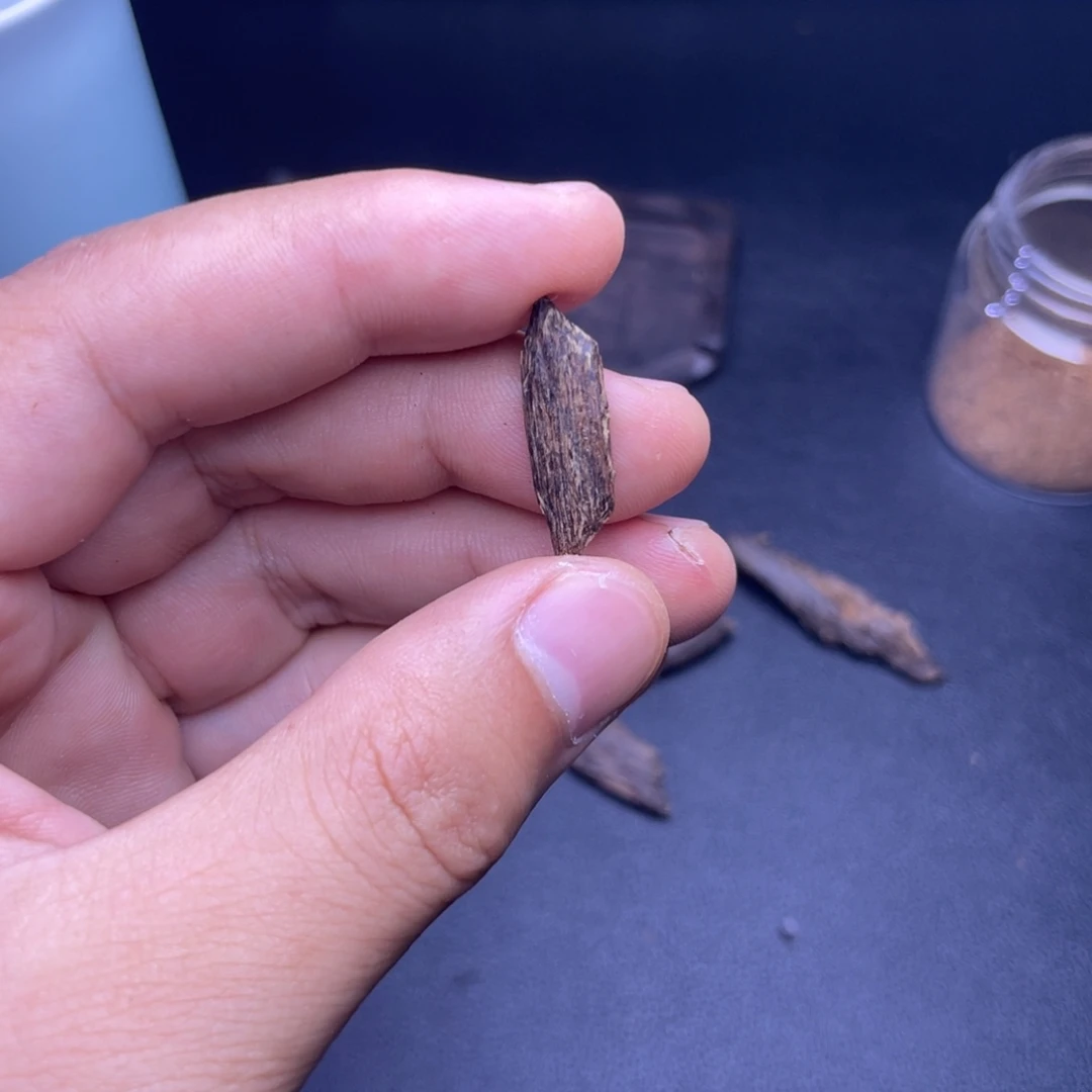 香榧木海南东方沉水生结牙沉0.4克