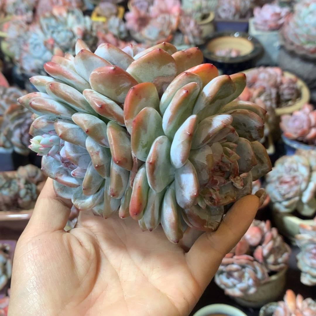 哈哈哈哈哈哈哈哈哈哈哈