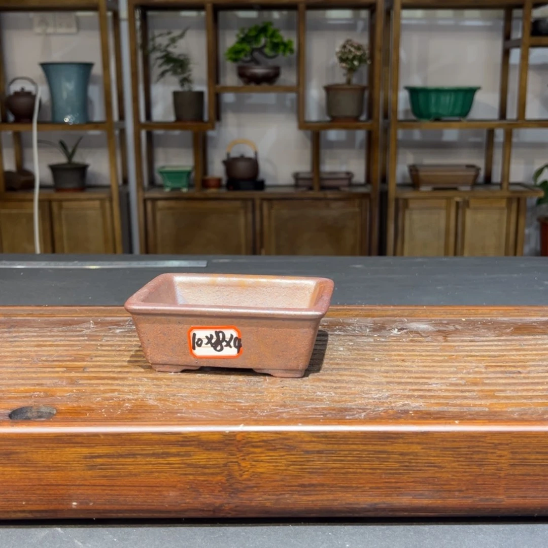 全部花苞紫砂花盆