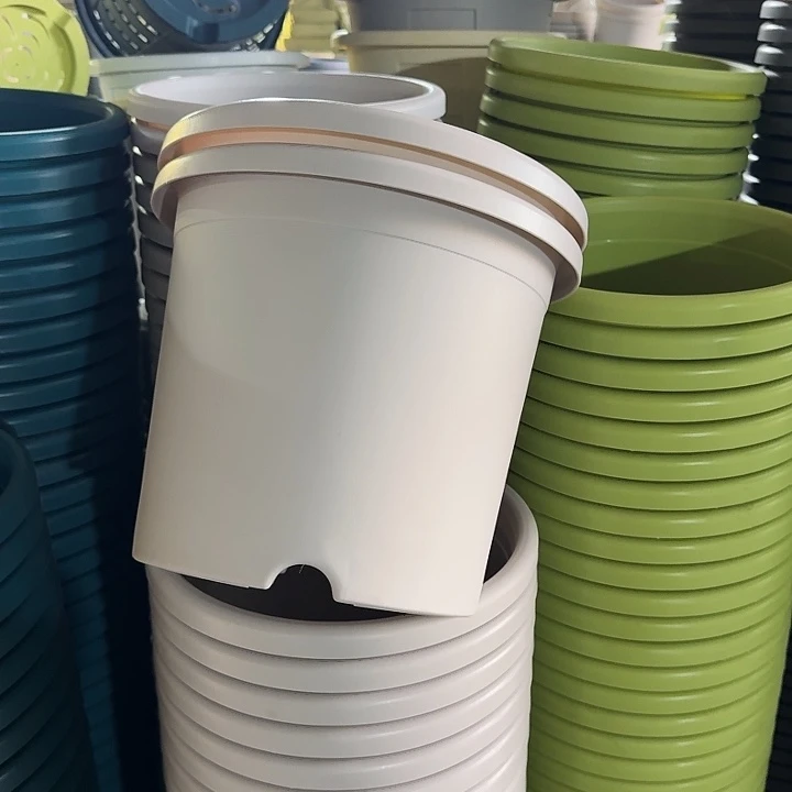 四季5#口径29灰白5个无托