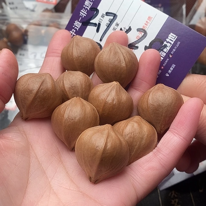 手串/手链橄榄核林橄榄核梅林铁核