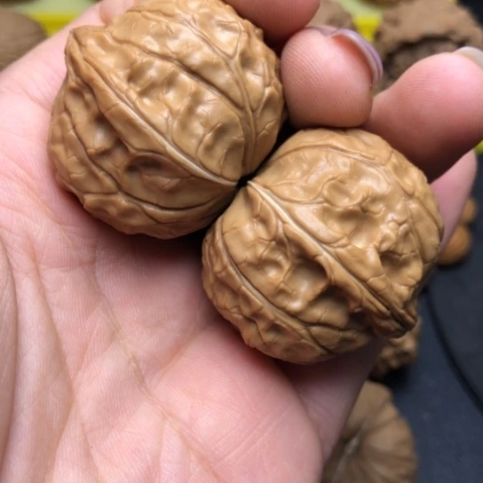 实***人手串/手链核桃龟甲文