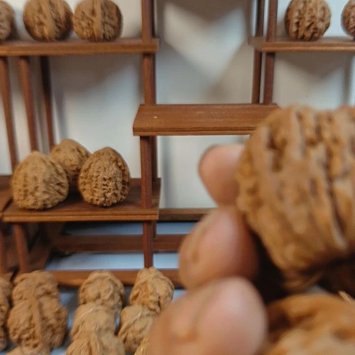 我***、无花朵四座楼核桃