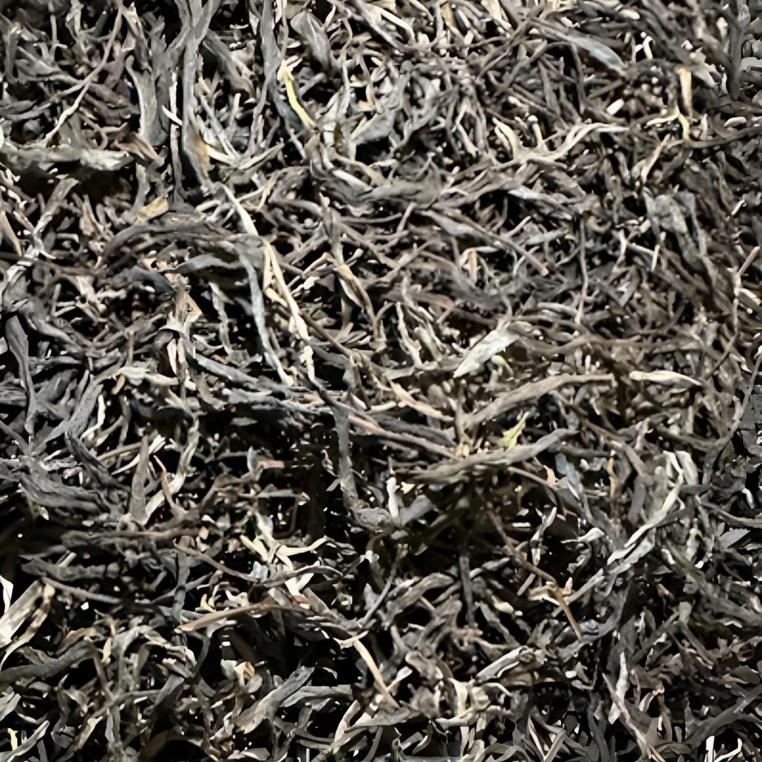 冰岛古树生茶散茶试喝