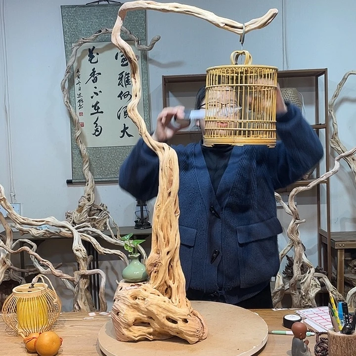 木杜鹃根天然根艺9