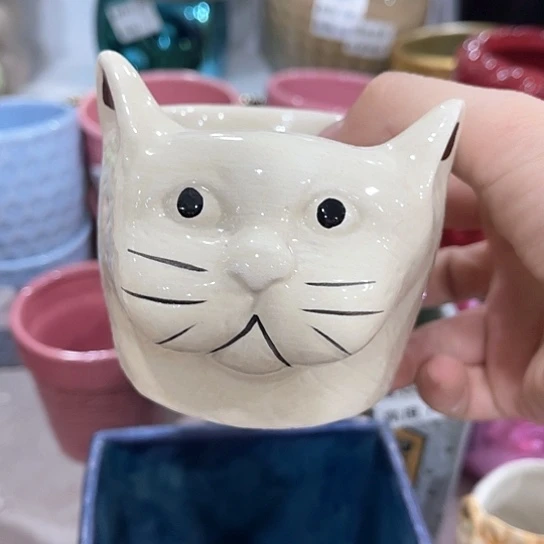 多肉绿植陶瓷花盆9.9包邮，有孔