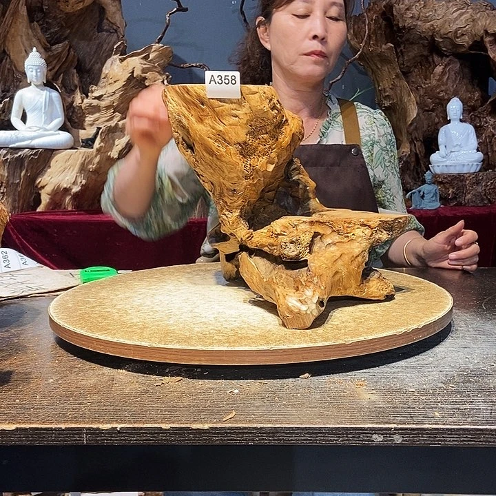 桦*358株木随行的小根艺