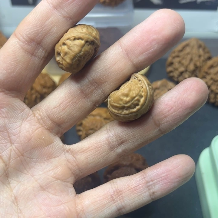 守正核堂，小手捻异形