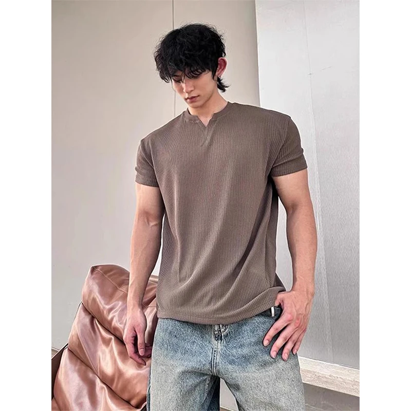 老钱风肌理感v领短袖男款夏季美式复古t恤高级感痞帅运动健身半袖