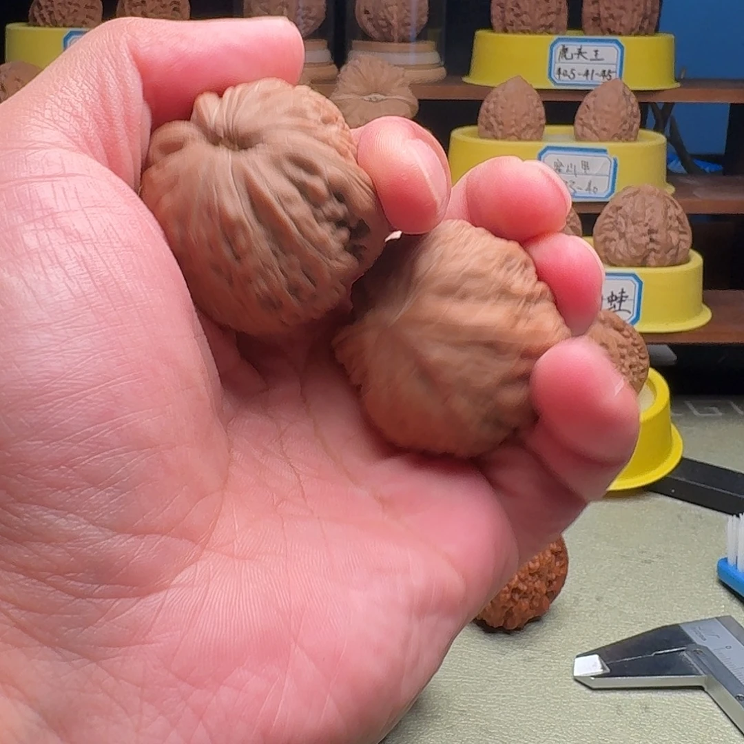 骨***蚓把件文玩核桃铁锤40全品