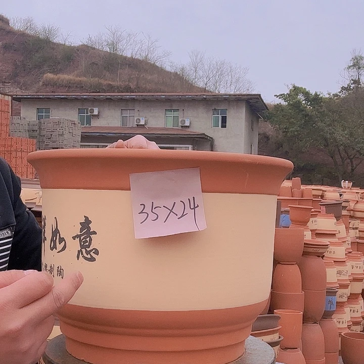 紫砂福利来了吧高质量