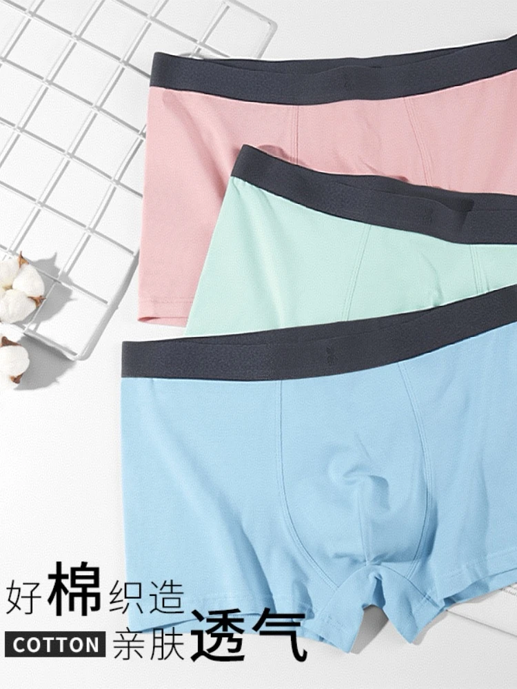 青少年礼盒装MR男士棉内裤平角裤（具体以主播过款为主）