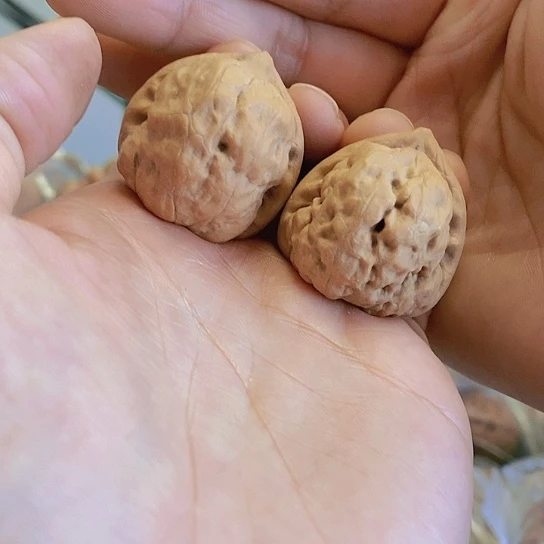 【闪购商品】把件文玩核桃33三角古蝉